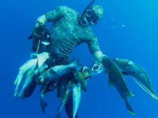 14 EP-FOTO_5