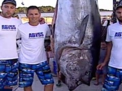 TUNA.jpg.655x300 q85 crop upscale