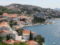 fneum