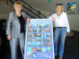 fot22637739.jpg.crop display