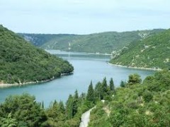limski