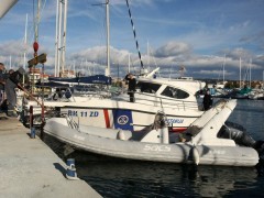 gliser ribar