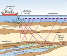 Marine Seismic Cartoon