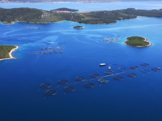 cromaris