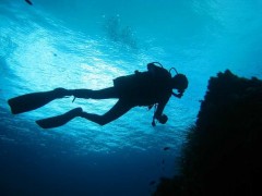 diving