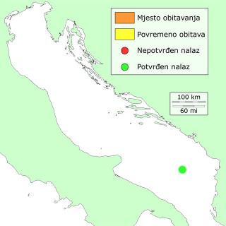 cloueijeva-distribucija