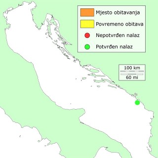 sestilodistribucija