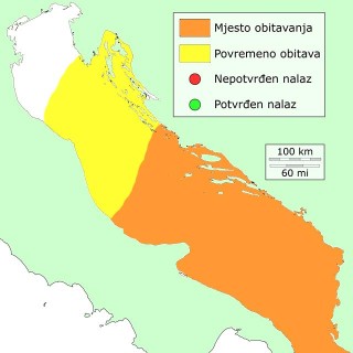 huj-distribucija