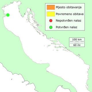 distribucija-sestotockasti