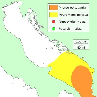 bodecnjak-krestavi-distribucija