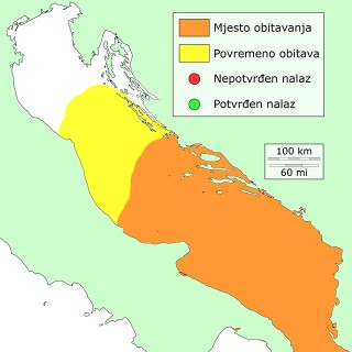 jauk-distribucija