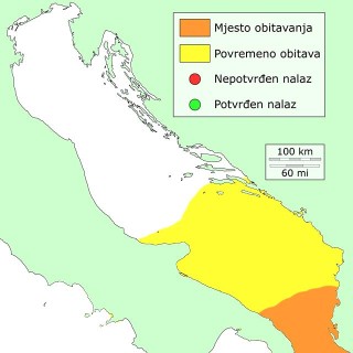 zlatar-distribucija