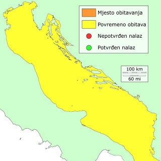 zmija-distribucija