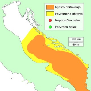 ugor-distribucija