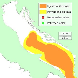 distribucija 2