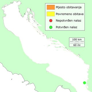 albanija-distribucija