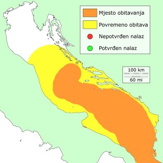 ugoticica-distribucija