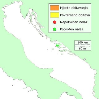 vlasuljka-distribucija