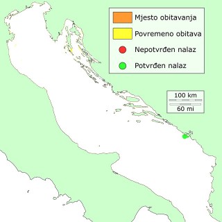 tuponoska-distribucija