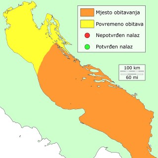 zutousna-distribucija