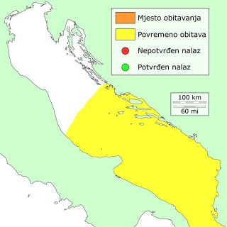 trnbokan-distribucija