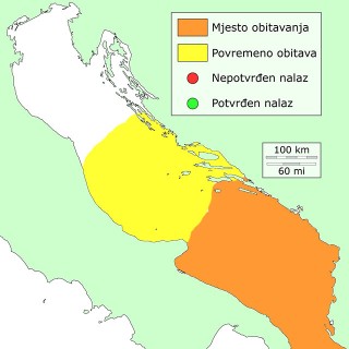 gira-atlanska-distribucija