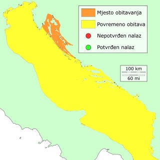 mreskan-distribucija