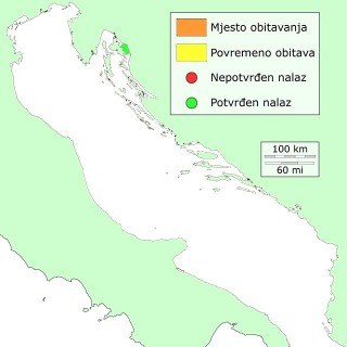 st-distribucija