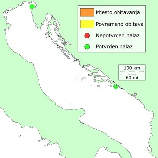 tamna-mramornica-distribucija