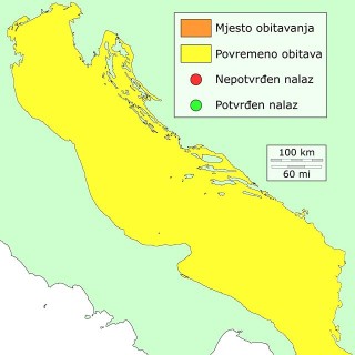 distribucija-pastir