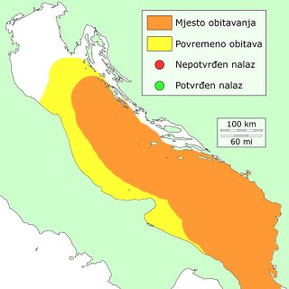 crnac-distribucija