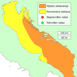 miha-distribucija