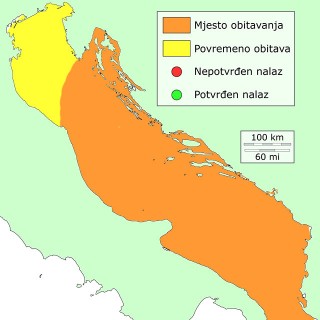 sabljarka-distribucija