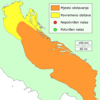 jera-distribucija