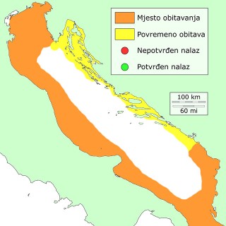 korb-distribucija