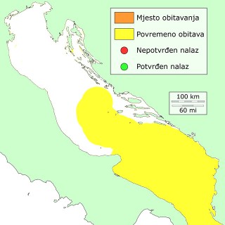 trup-prugavac-distribucija