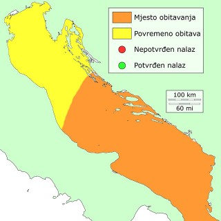 okan-distribucija