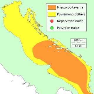 sabljas-distribucija