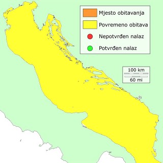 paklara-distribucija